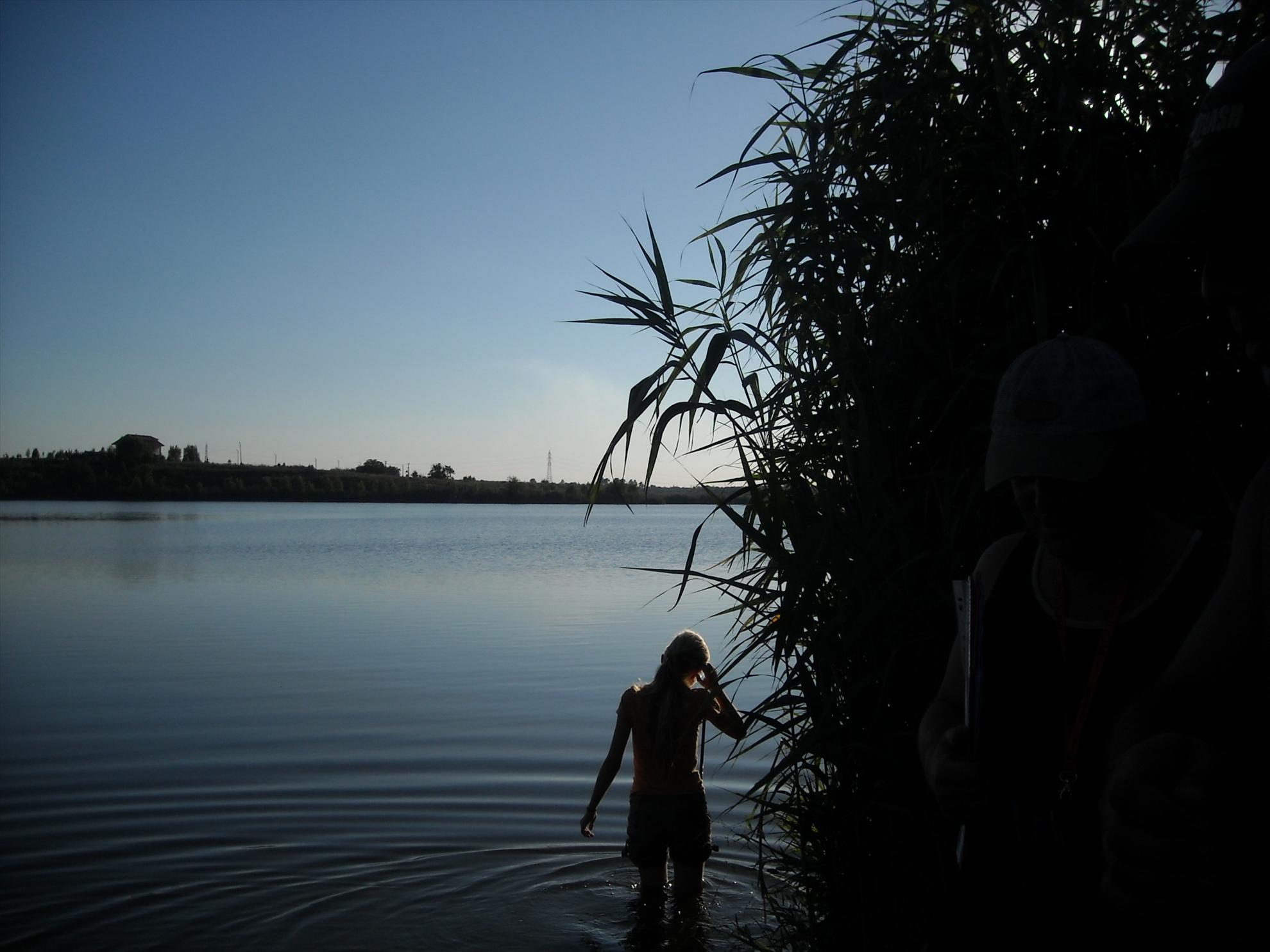 Cupa City Center-2010 - dscn7837.JPG